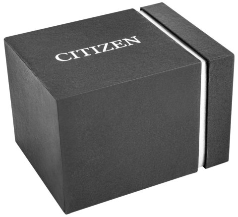 Zegarek Męski CITIZEN Marine Sporty AW1761-89L + BOX